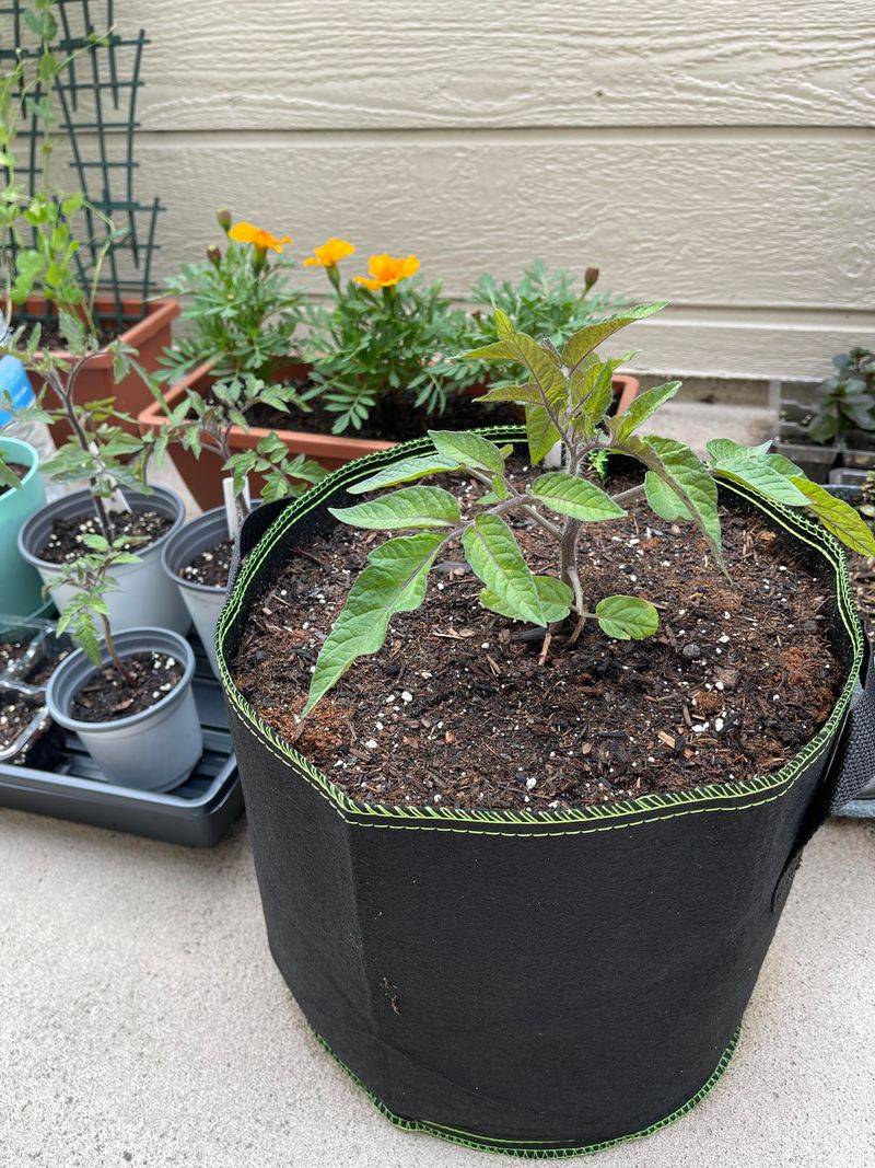 Filling Pots With Garden Soil