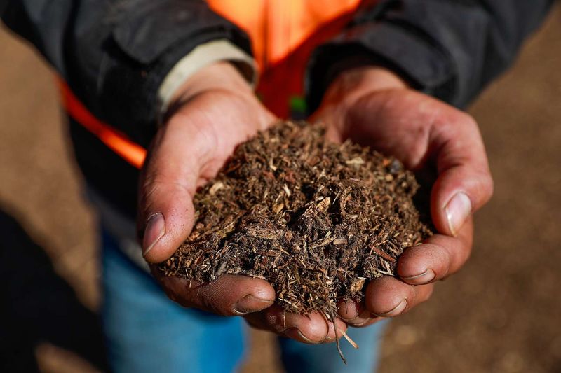 Fine Stringy Mulch Burns More Easily