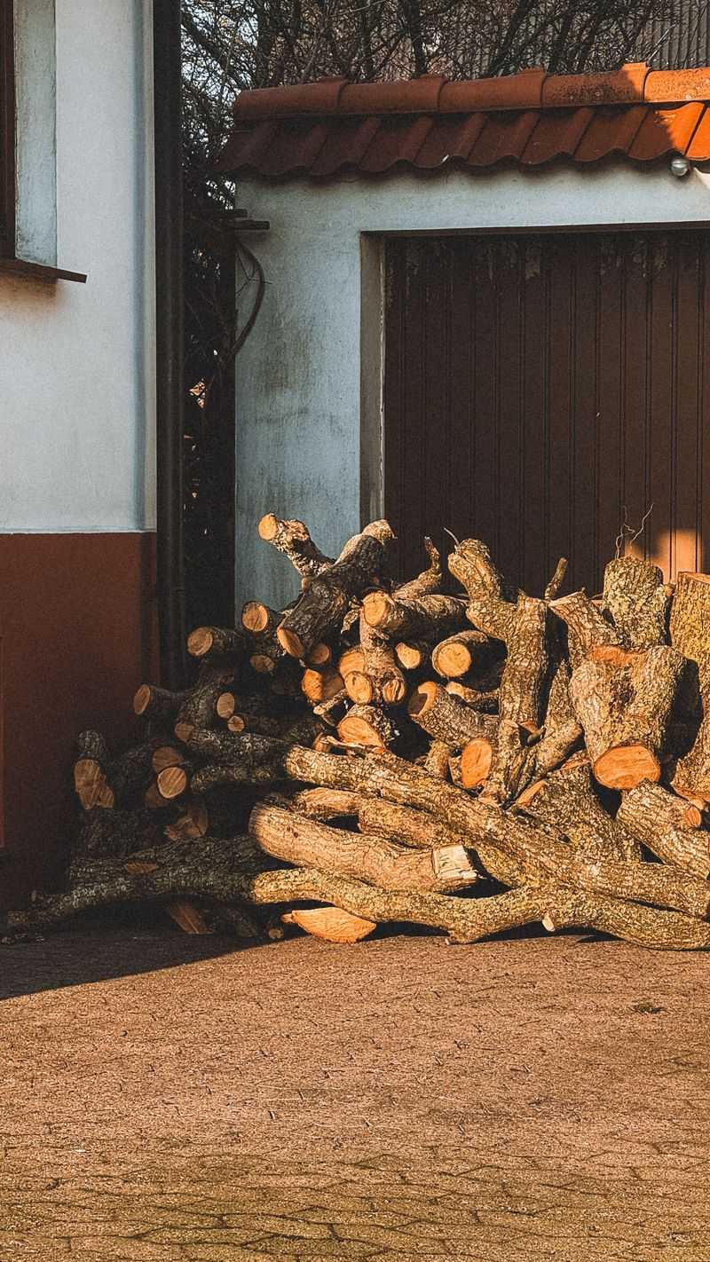 Firewood Stacked On The Ground Near The House