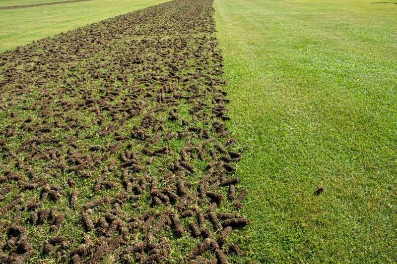 Fix Compacted Soil Before Blaming The Slope