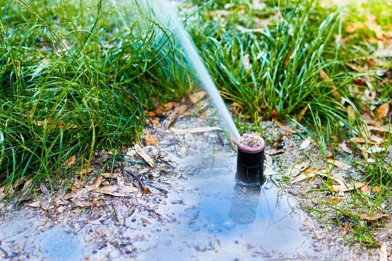 Fix Irrigation Leaks That Create Damp Spots Fix Irrigation Leaks That Create Damp Spots