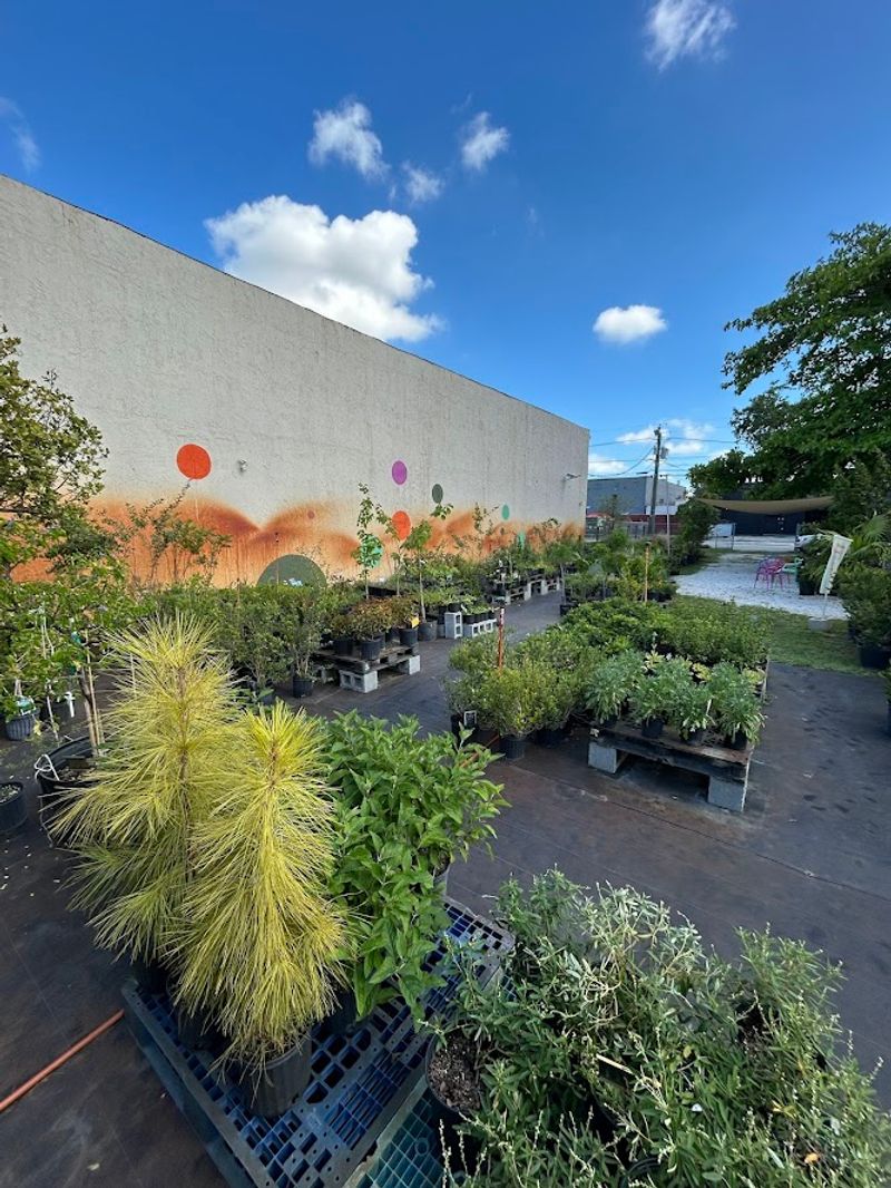 Flora Of Miami Makes Native Plant Shopping Feel Approachable Flora Of Miami Makes Native Plant Shopping Feel Approachable