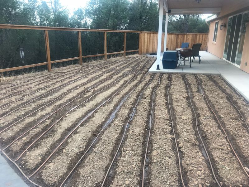 Flush Tubing Before Summer Sediment Builds