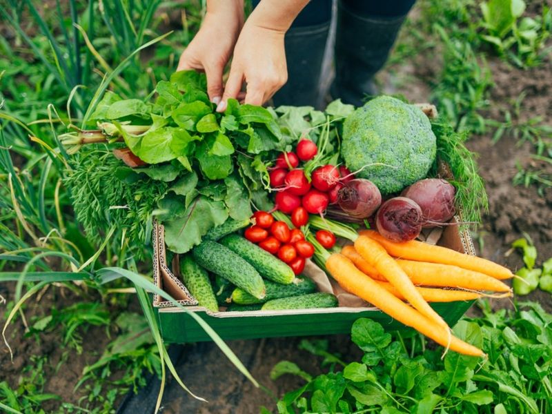 Food Costs Add Motivation Food Costs Add Motivation