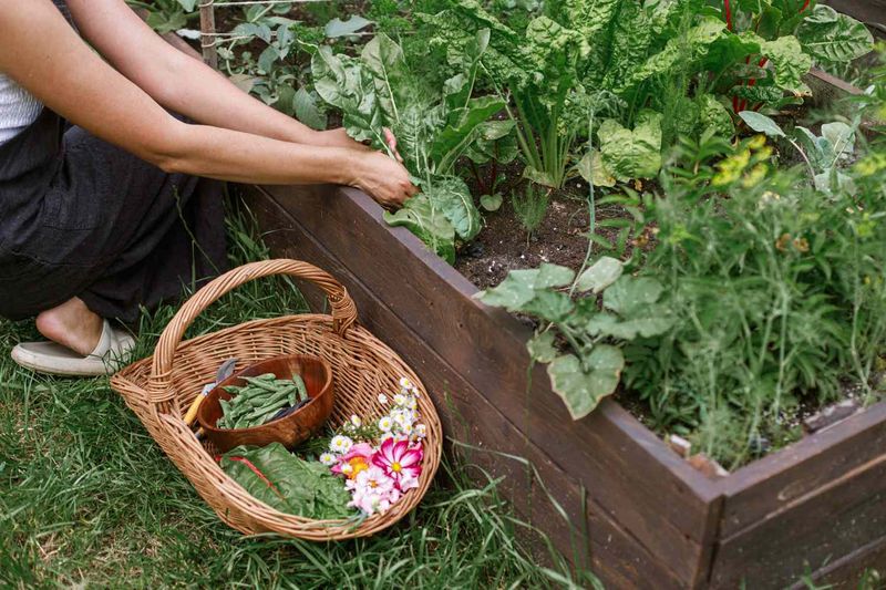 Food Gardens Feel Useful Food Gardens Feel Useful