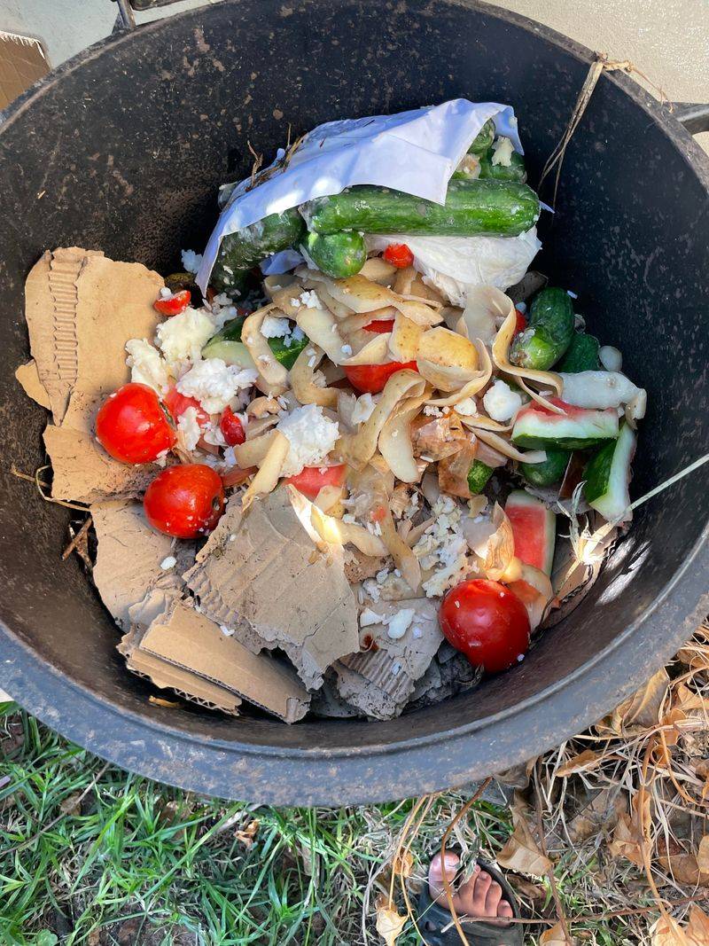Food Waste Shrinks When Scraps Become Starters