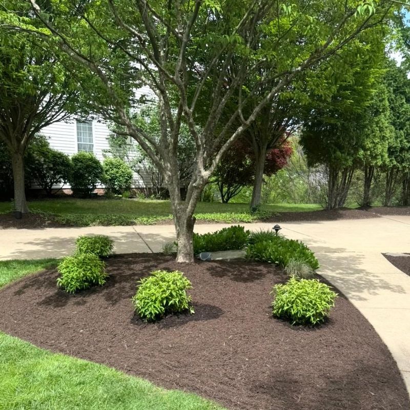 For Weed Control, Fresh Mulch Beats Bare Soil Every Time