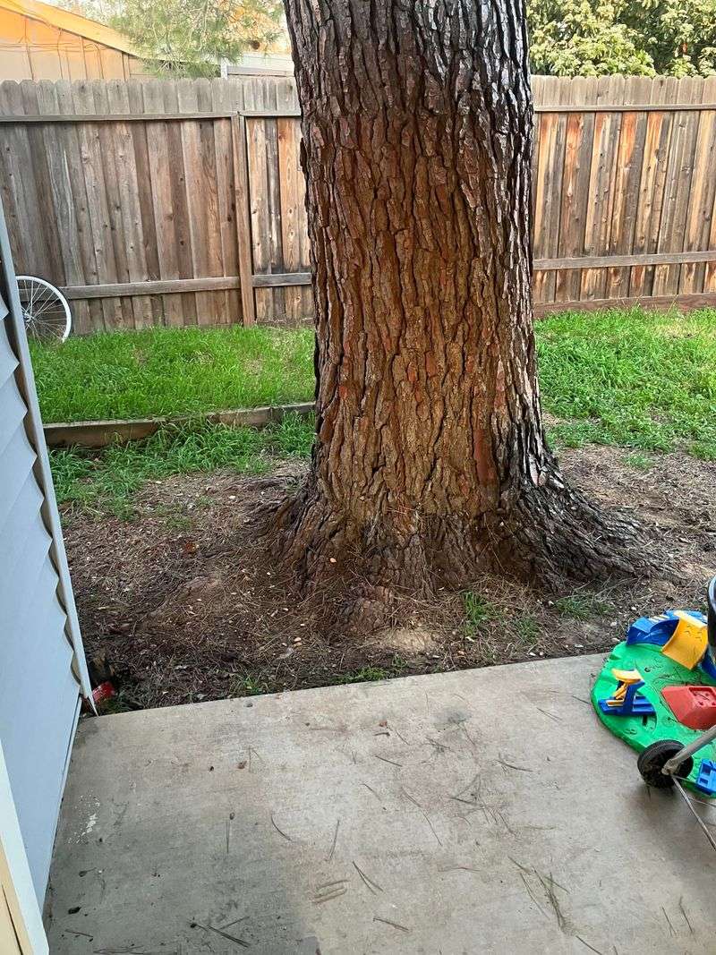 Foundation Damage Is More Serious Than Lifted Concrete Foundation Damage Is More Serious Than Lifted Concrete