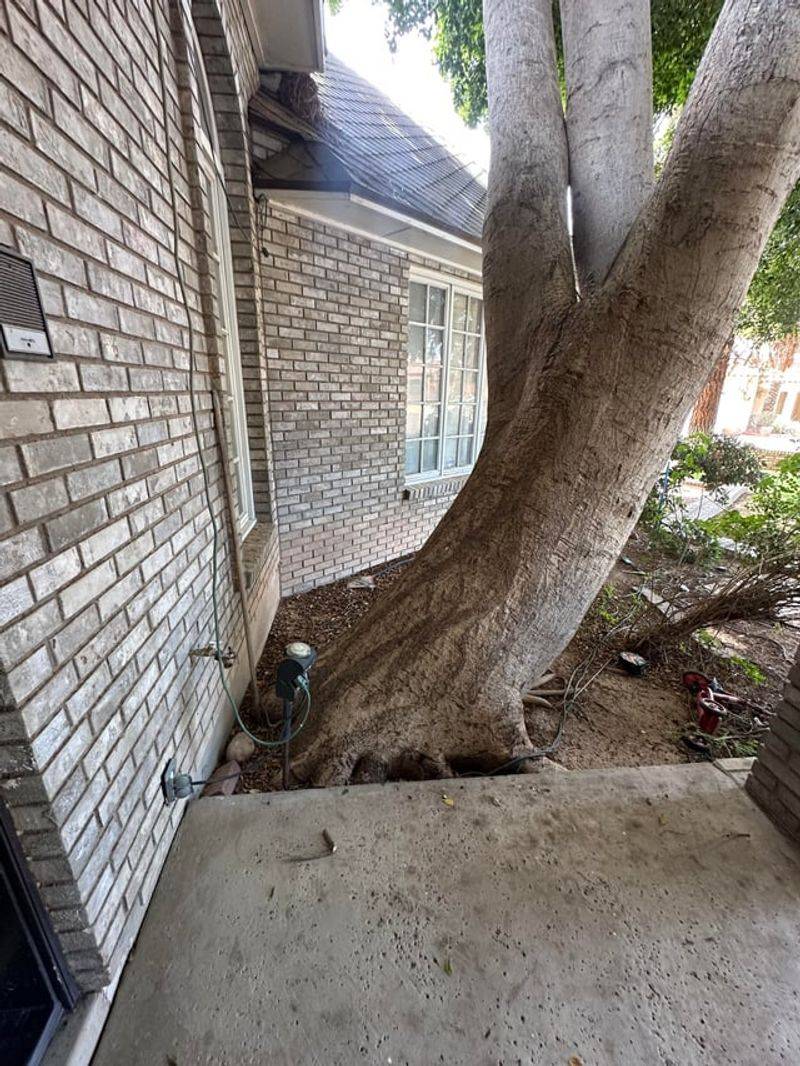 Foundations Are A Bigger Concern In Tight Yards Foundations Are A Bigger Concern In Tight Yards