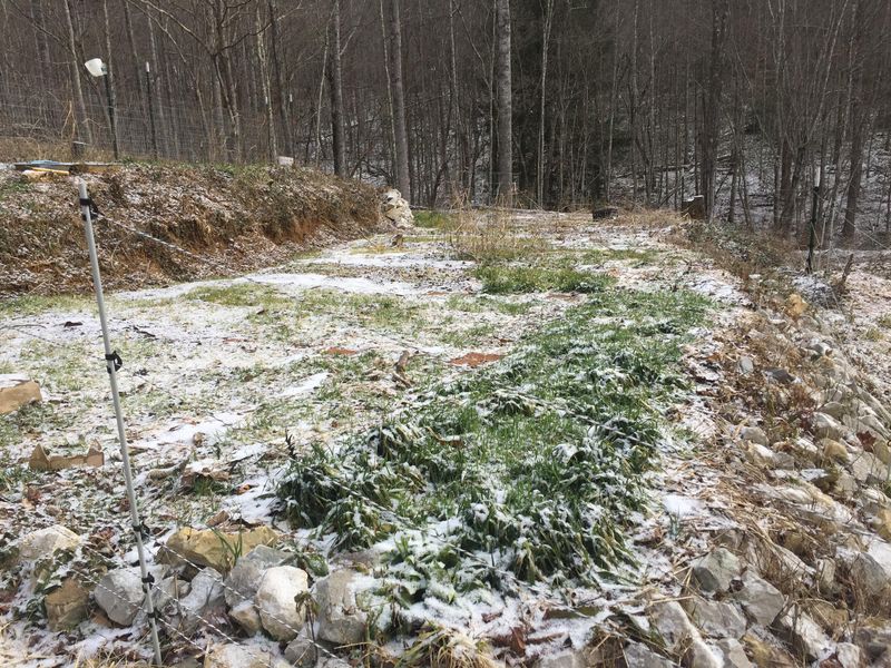 Freezing Temperatures Clean Up Many Cover Crops Before Spring