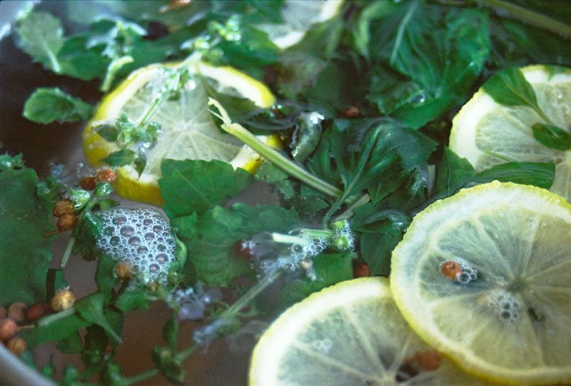 Fresh Leaves Have More Uses Than You Might Expect