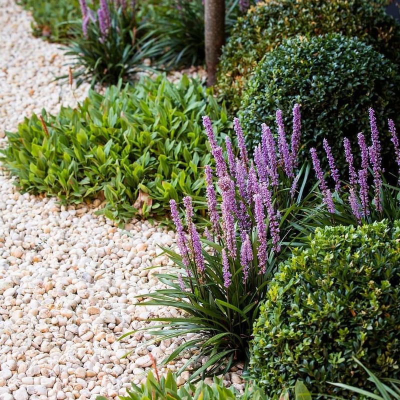 Fresh Mulch Helps Moderate Soil Temperatures Fresh Mulch Helps Moderate Soil Temperatures