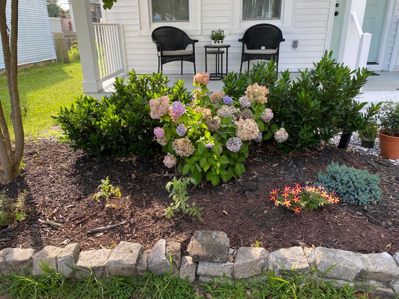 Fresh Mulch Helps Soil Hold Moisture Longer Fresh Mulch Helps Soil Hold Moisture Longer