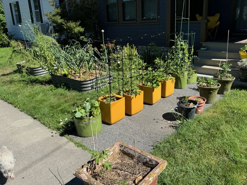 Front Yards Are Not Protected The Same Way As Backyards