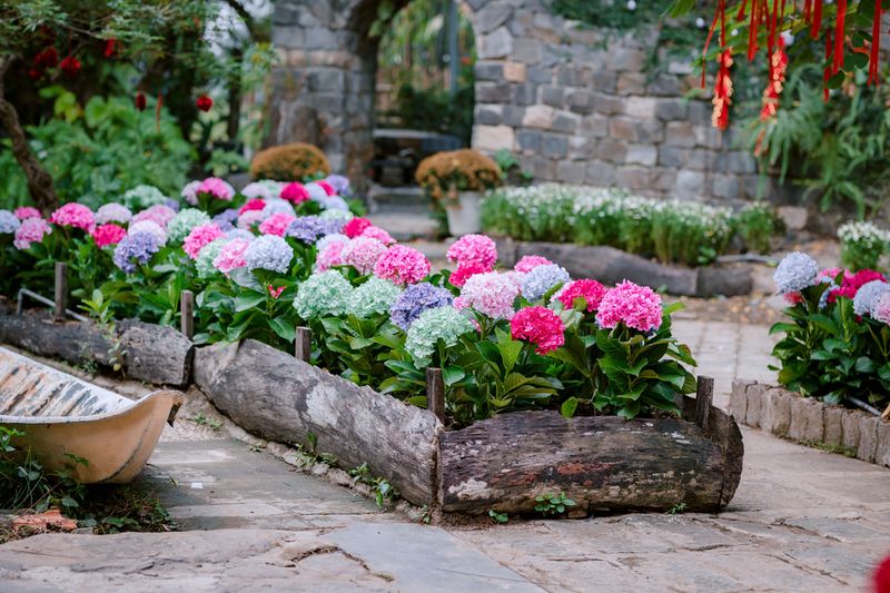 Garden Beds And Borders