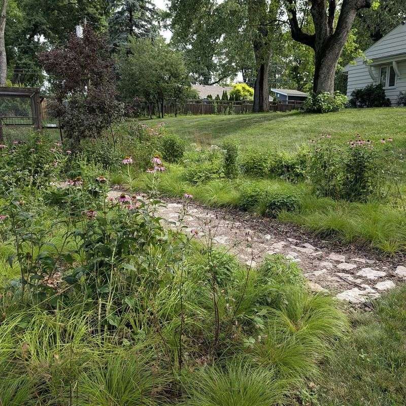 Garden Edges Adjacent To Woods