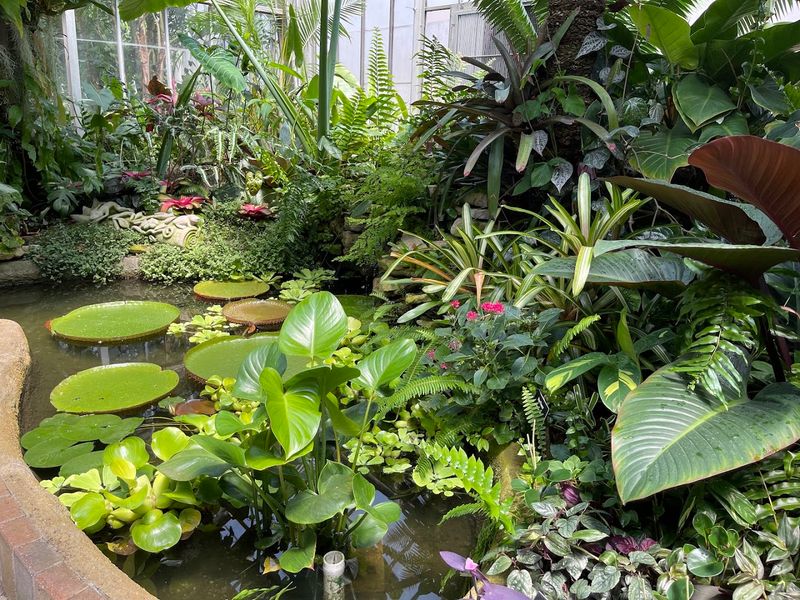 Garfield Park Conservatory & Sunken Garden, Indianapolis Garfield Park Conservatory & Sunken Garden, Indianapolis