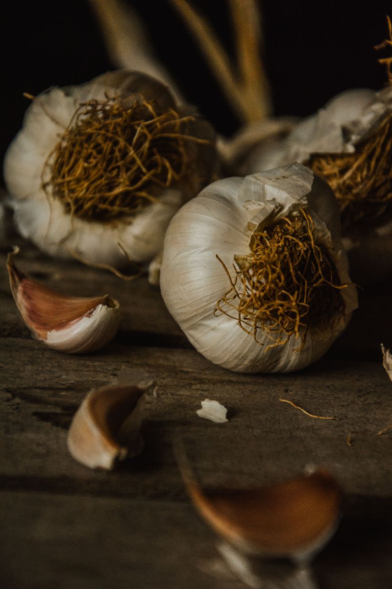 Garlic