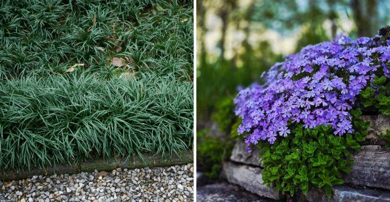 Georgia Gardeners Are Moving Away From Plastic Edging And Using These Natural Borders Instead