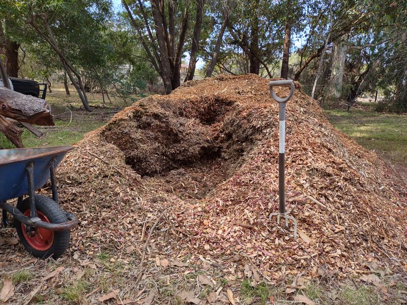 Georgia Sun Makes Bare Soil Warm Up Fast