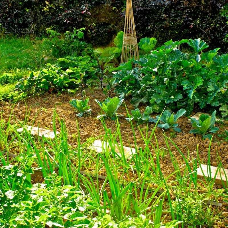 Giving Every Crop The Same Amount Of Water