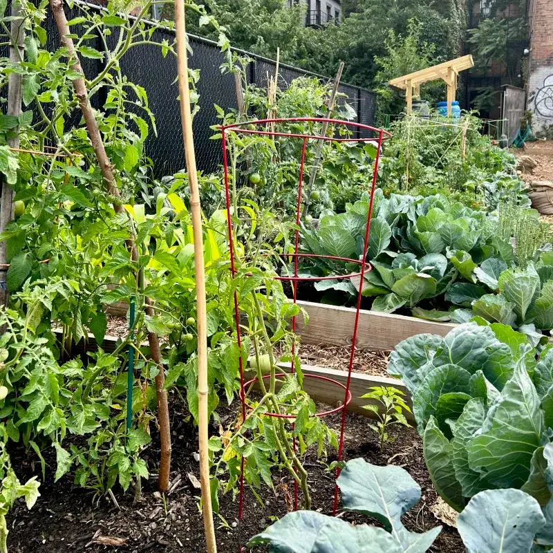 Giving Every Plant The Same Amount Of Water Giving Every Plant The Same Amount Of Water