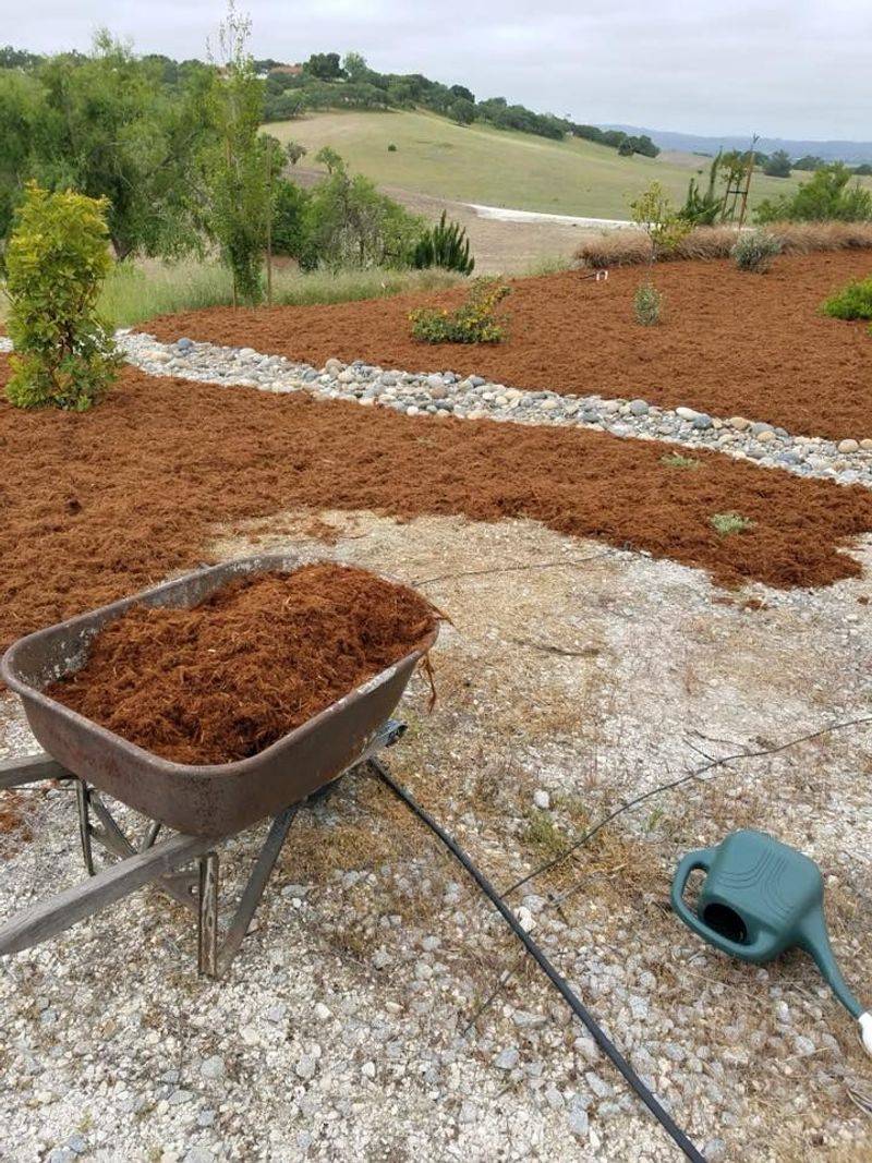 Gorilla Hair Mulch Is Higher Risk