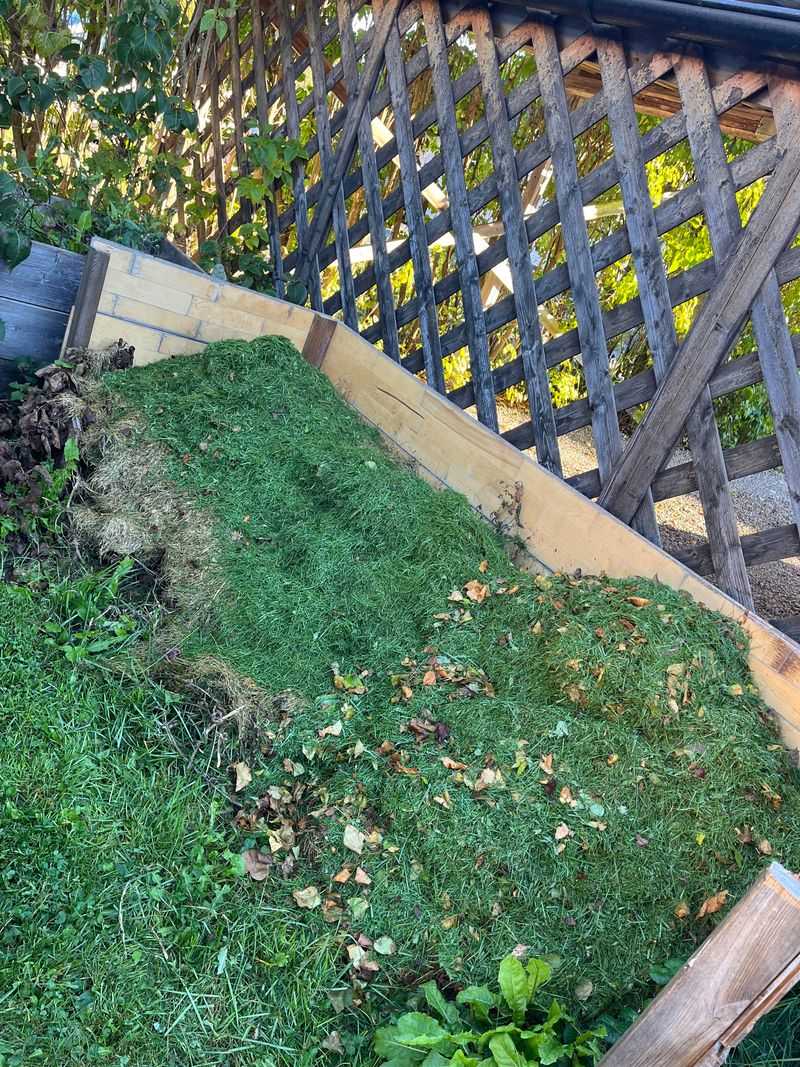 Grass Clippings Add A Quick Green Layer