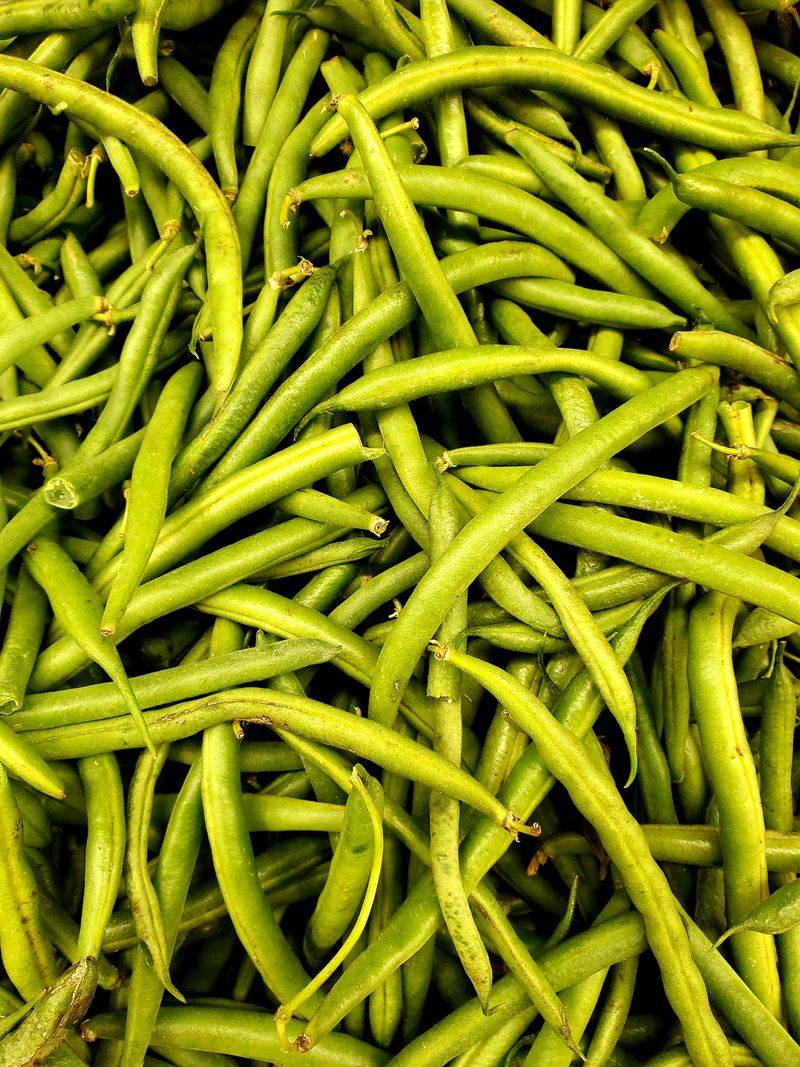 Green Beans (Bush) Green Beans (Bush)