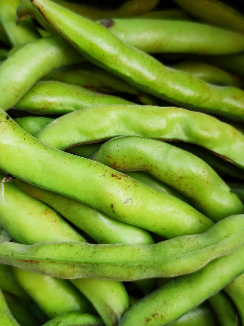 Green Beans (Pole) Green Beans (Pole)