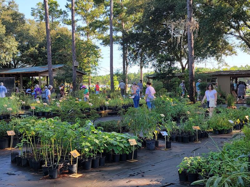 Green Isle Gardens Rewards Shoppers Hunting Upland Native Species Green Isle Gardens Rewards Shoppers Hunting Upland Native Species