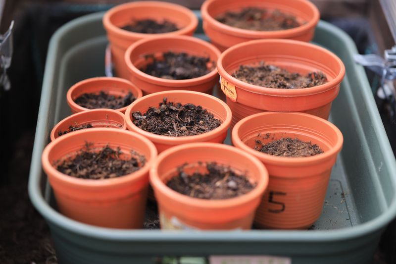 Grouping Pots Together To Slow Evaporation Grouping Pots Together To Slow Evaporation