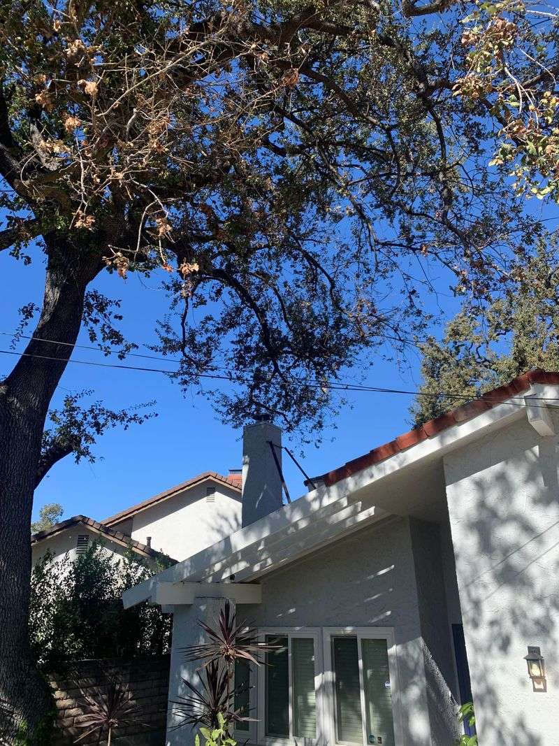 HOA Rules May Protect Views More Than State Law