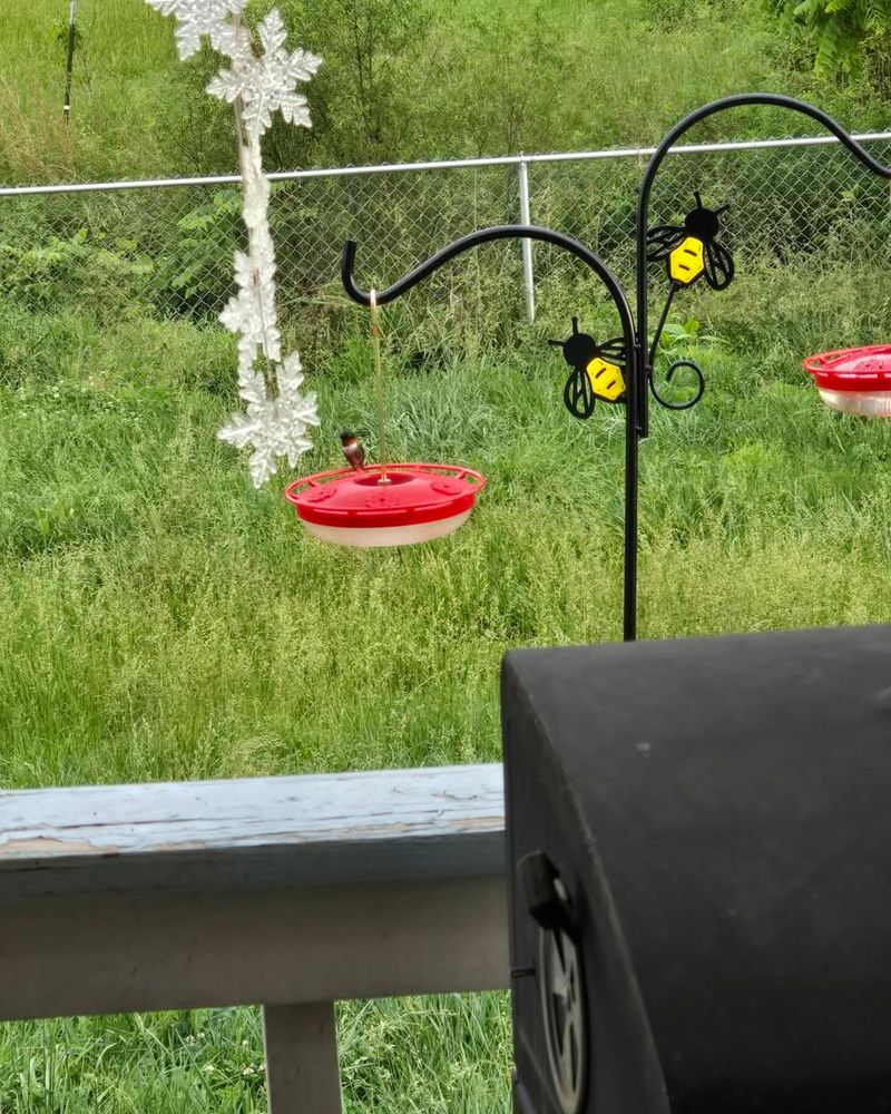 Hanging Feeders Too Close To Doors Can Backfire Hanging Feeders Too Close To Doors Can Backfire