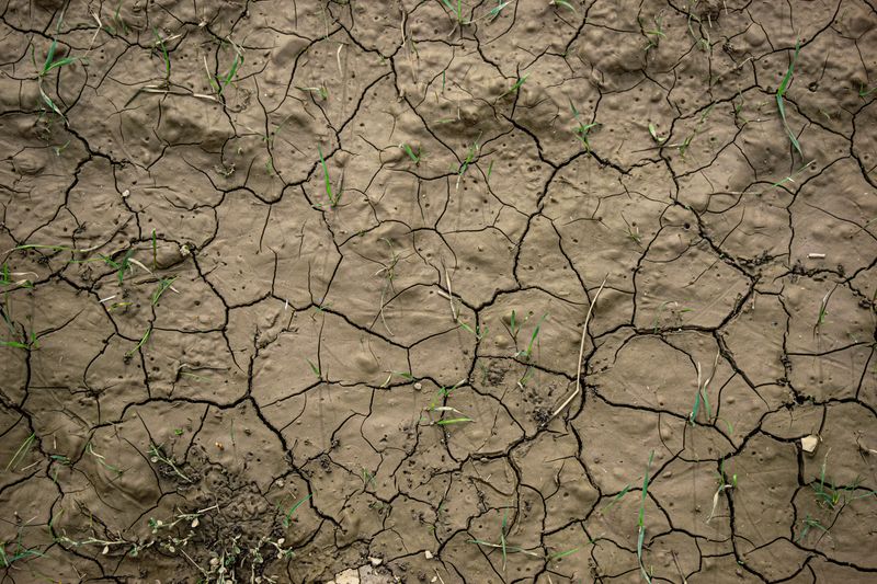 Hard And Cracked Soil Points To A Bigger Problem Below Hard And Cracked Soil Points To A Bigger Problem Below