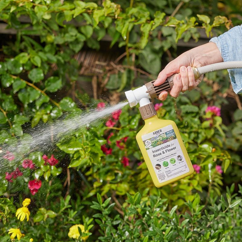 Heavy Insecticide Use Reduces A Major Food Source Heavy Insecticide Use Reduces A Major Food Source
