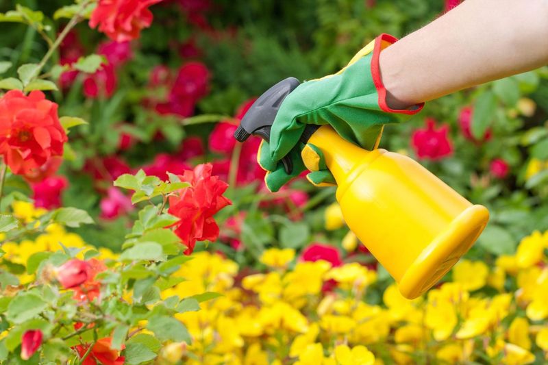 Heavy Pesticide Or Insecticide Use