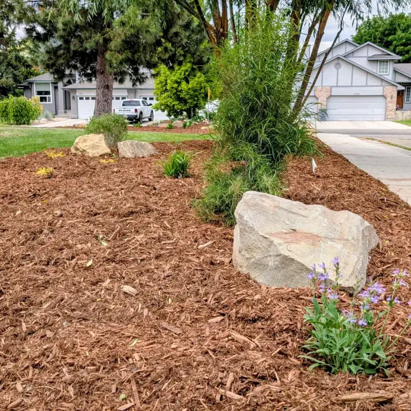 Heavy Rain Leaves More Mulch In Place