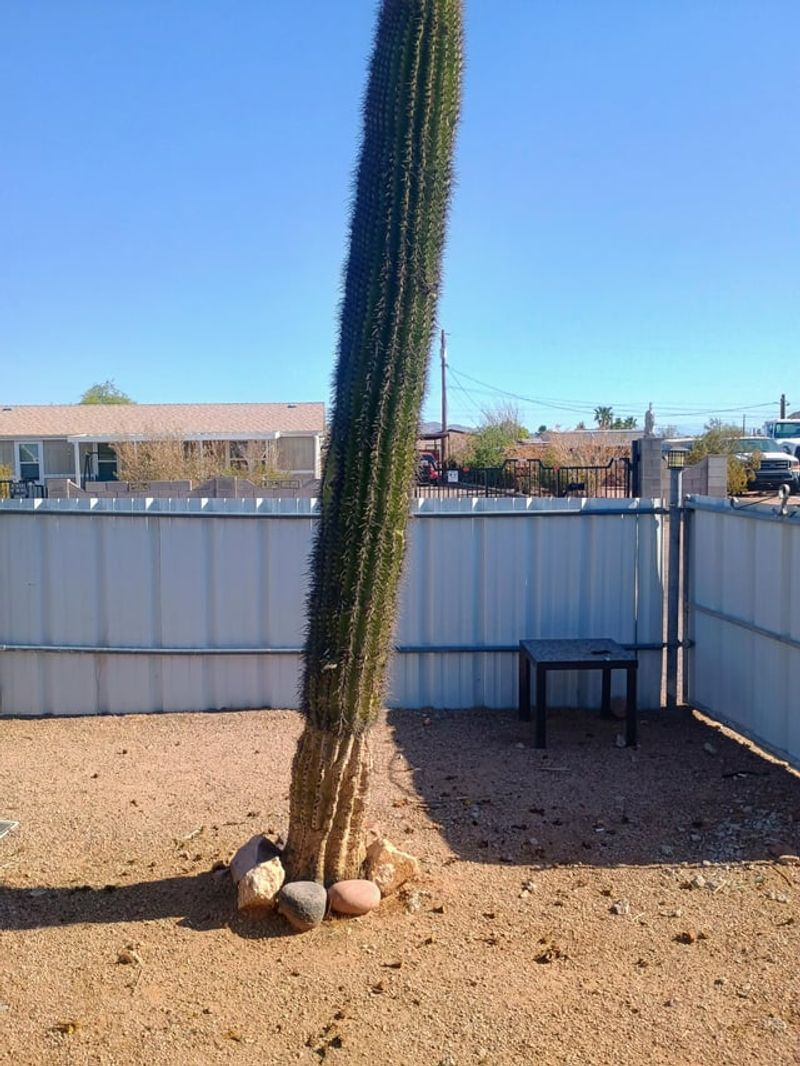 Heavy Water Storage Can Shift The Balance