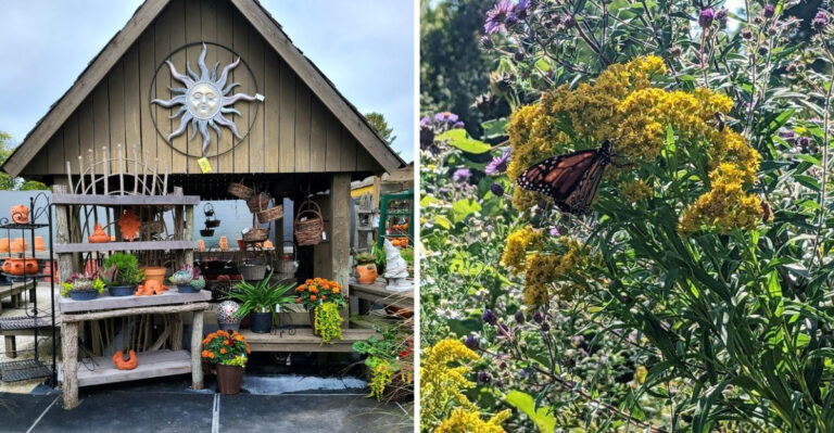 Baker's Village Garden Center and Natives In Harmony