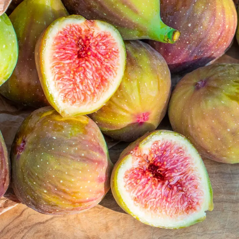 High Fruit Production