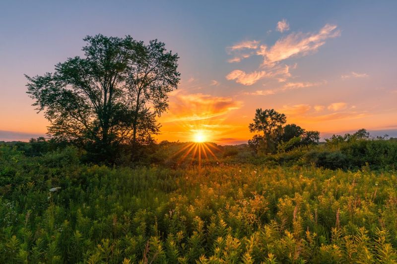 High-Risk Habitats In Pennsylvania High-Risk Habitats In Pennsylvania
