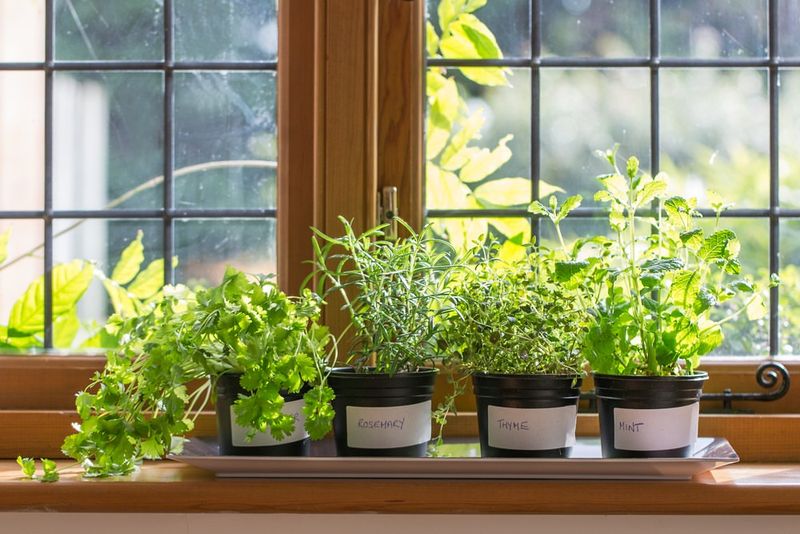 High Value Kitchen Gardening