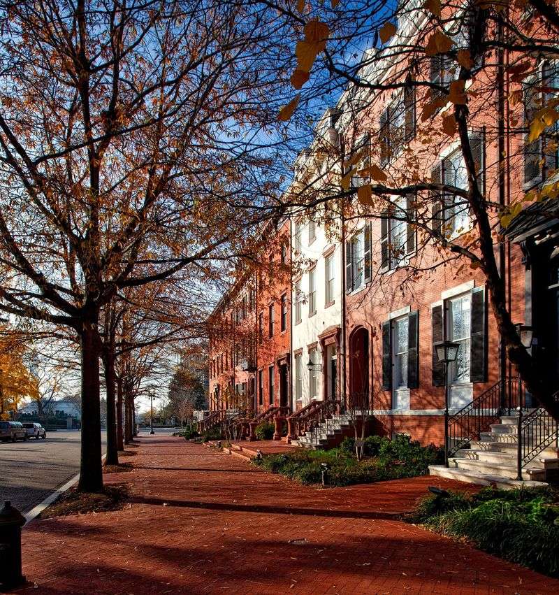 Historic District Trees Historic District Trees