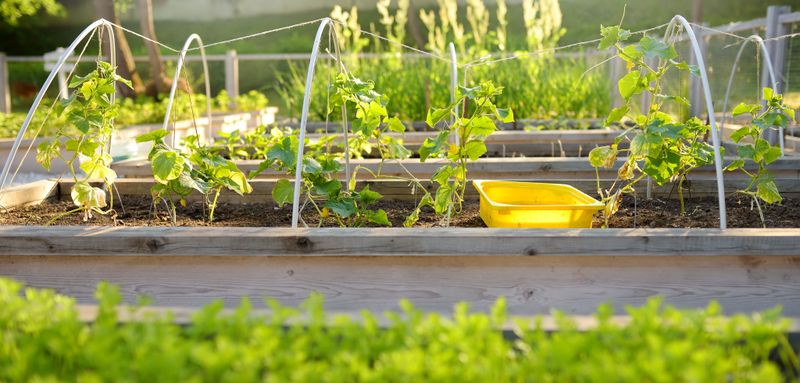 Hold Big Planting Plans Until Conditions Start To Ease Hold Big Planting Plans Until Conditions Start To Ease