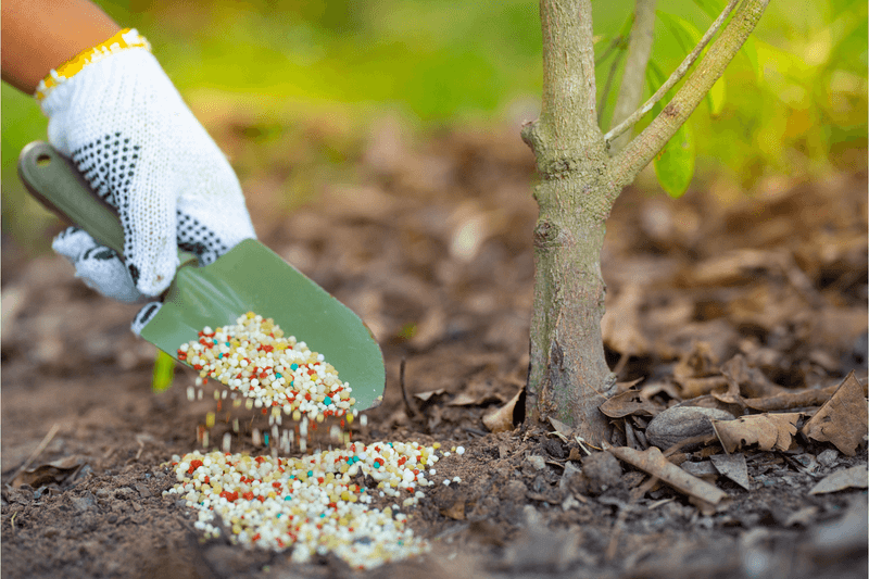 Hold Off On Fertilizer While Plants Are Stressed