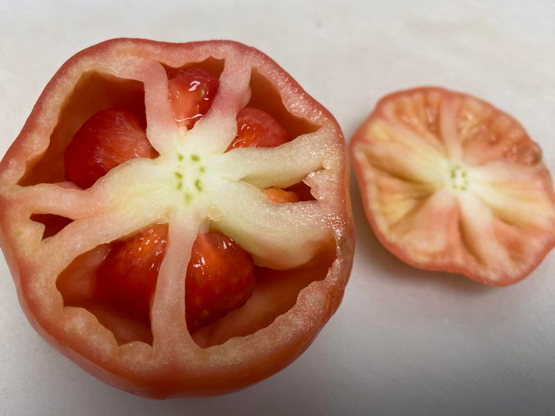 Hollow Fruit