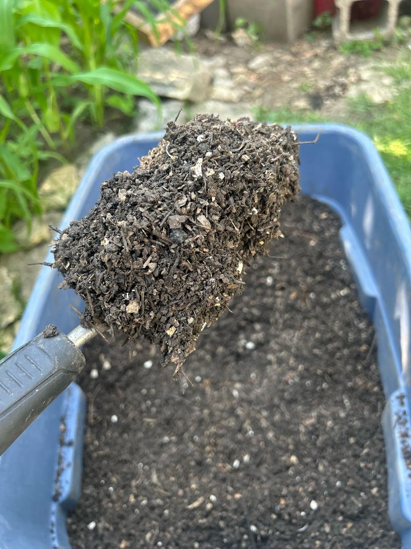 Homemade Compost Feeds The Bed Gently
