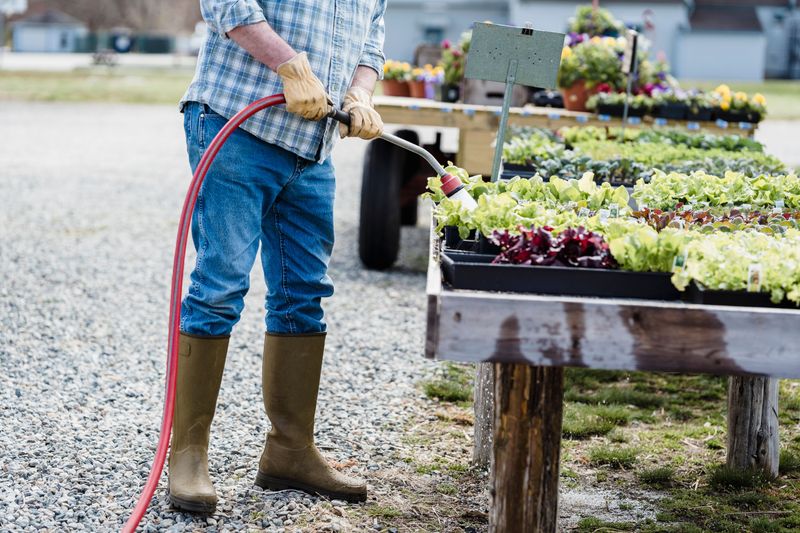 Hosing Down Flower Beds Instead Of Hand-Watering