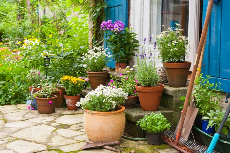 Hot Patios Heat The Roots From Every Side
